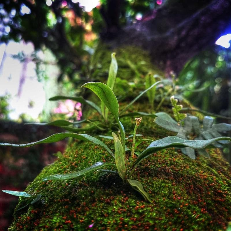 Arandela LED Recarregável Touch Magnética